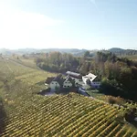 Bed & Breakfast Weingut Schwarzl 3*