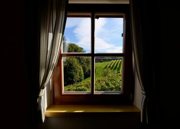 Couette-café Weingut Schwarzl 3*