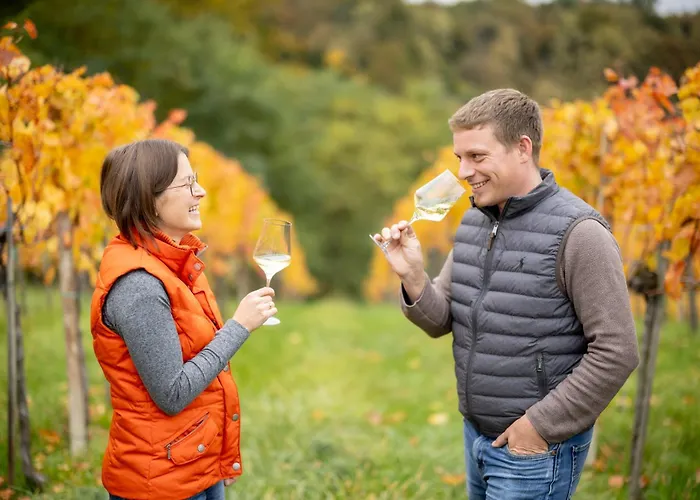 Weingut Schwarzl Отель типа 